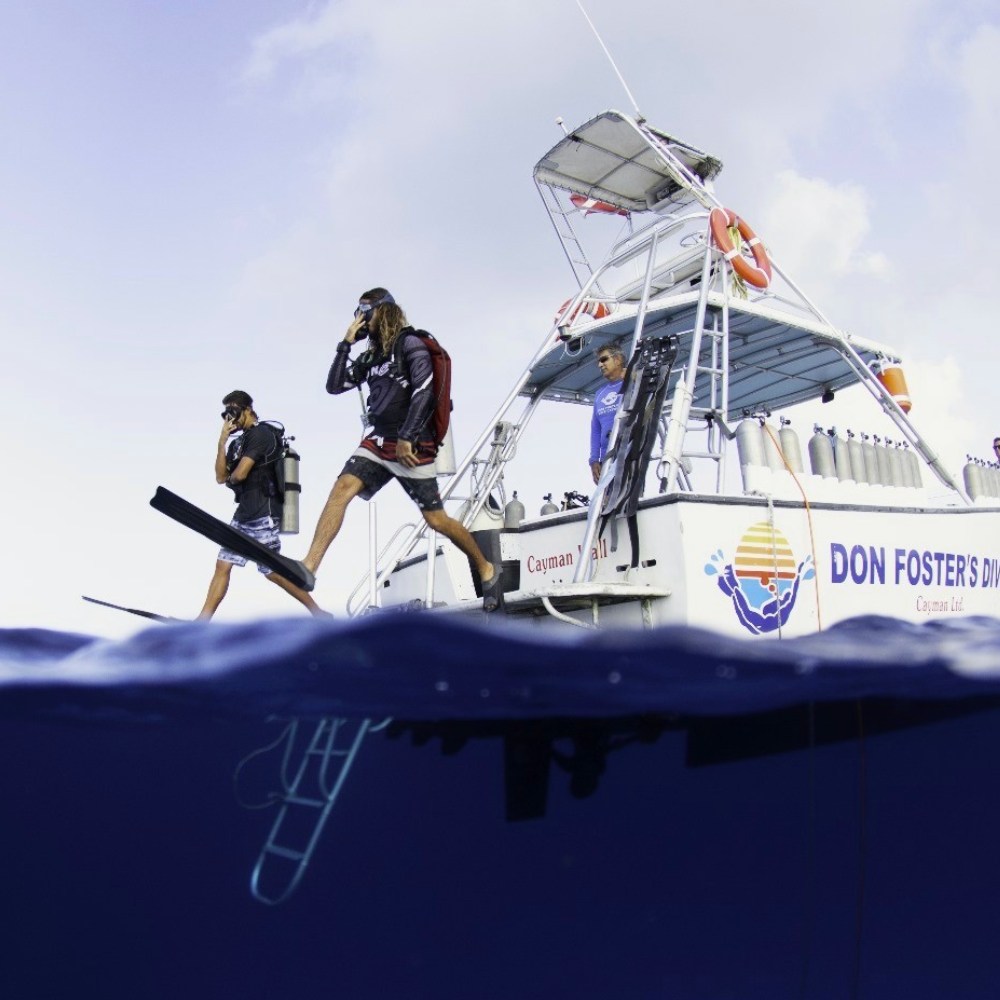 Life on the reef in Grand Cayman 2