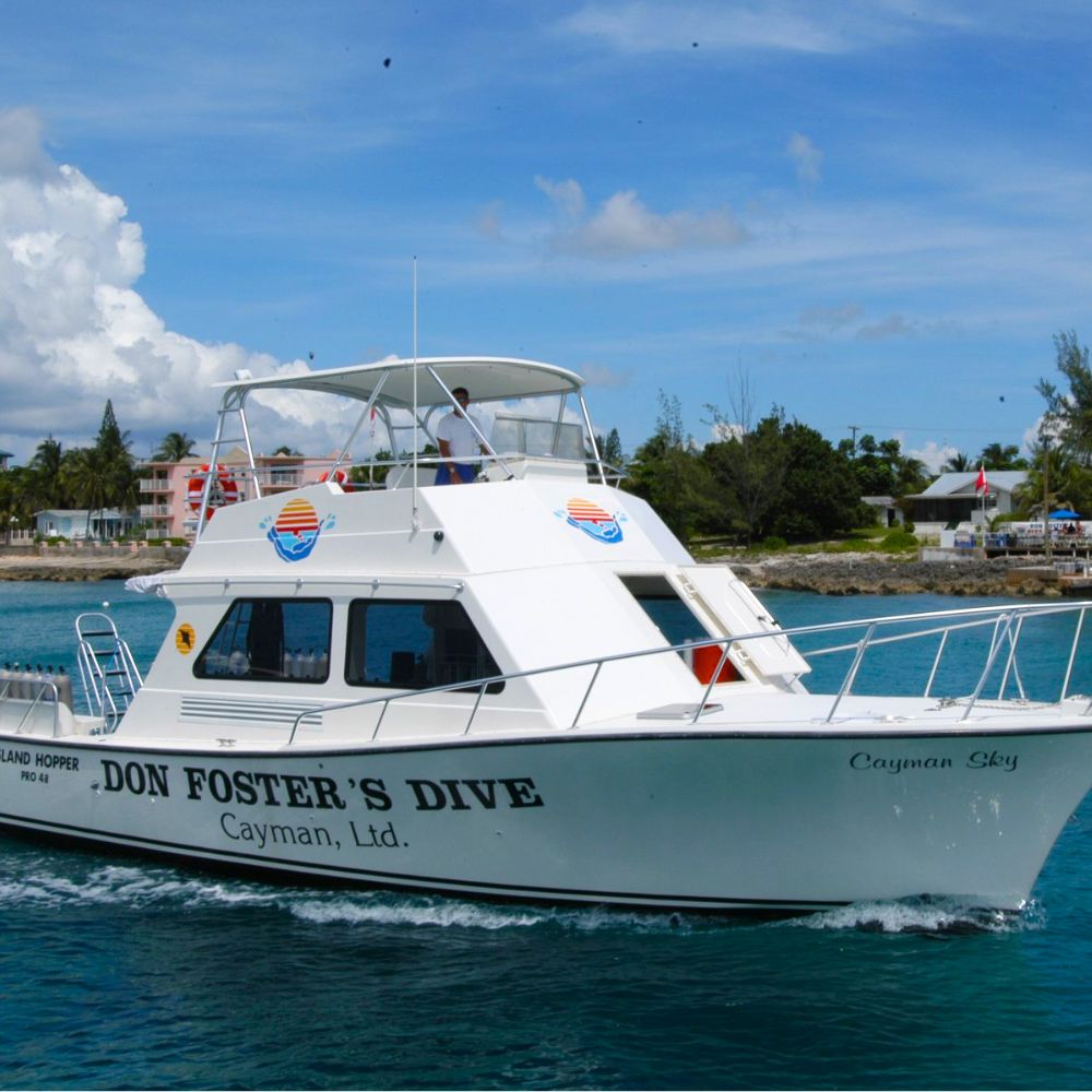 Life at Don Foster's Dive Cayman 9