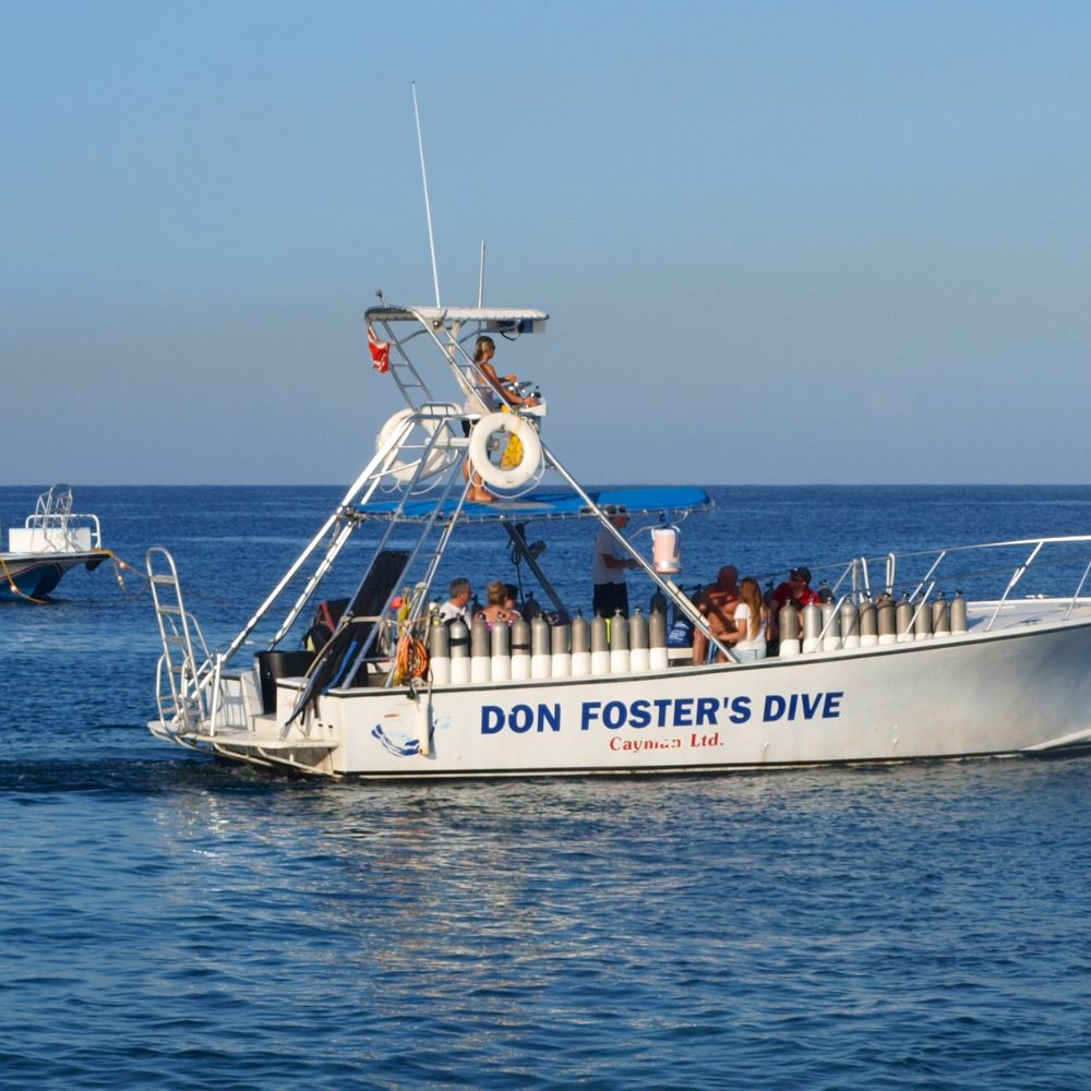 Life at Don Foster's Dive Cayman 10