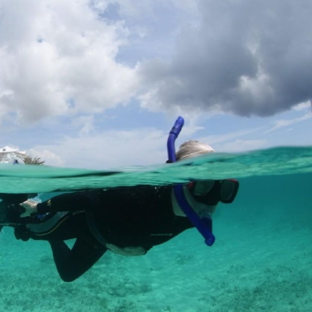 Sea View Reef
