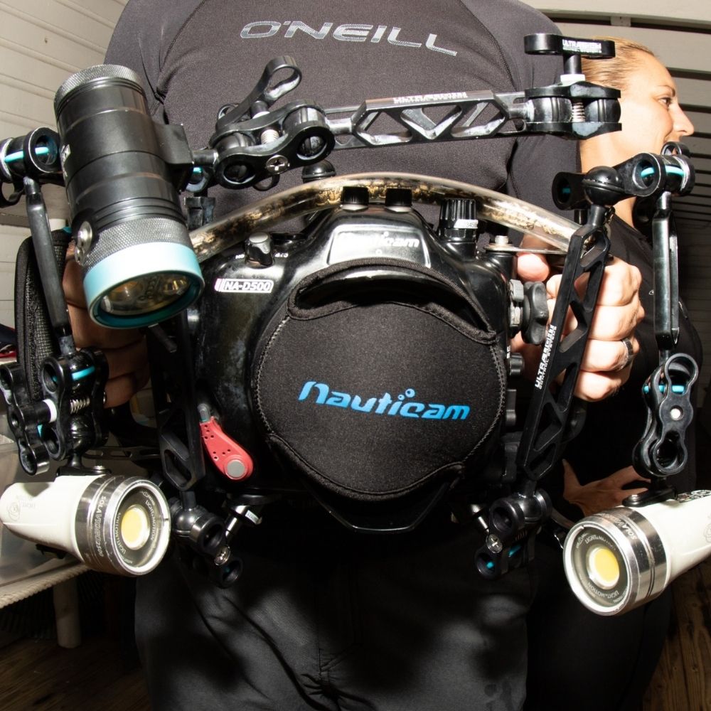 Underwater photography in Grand Cayman 3
