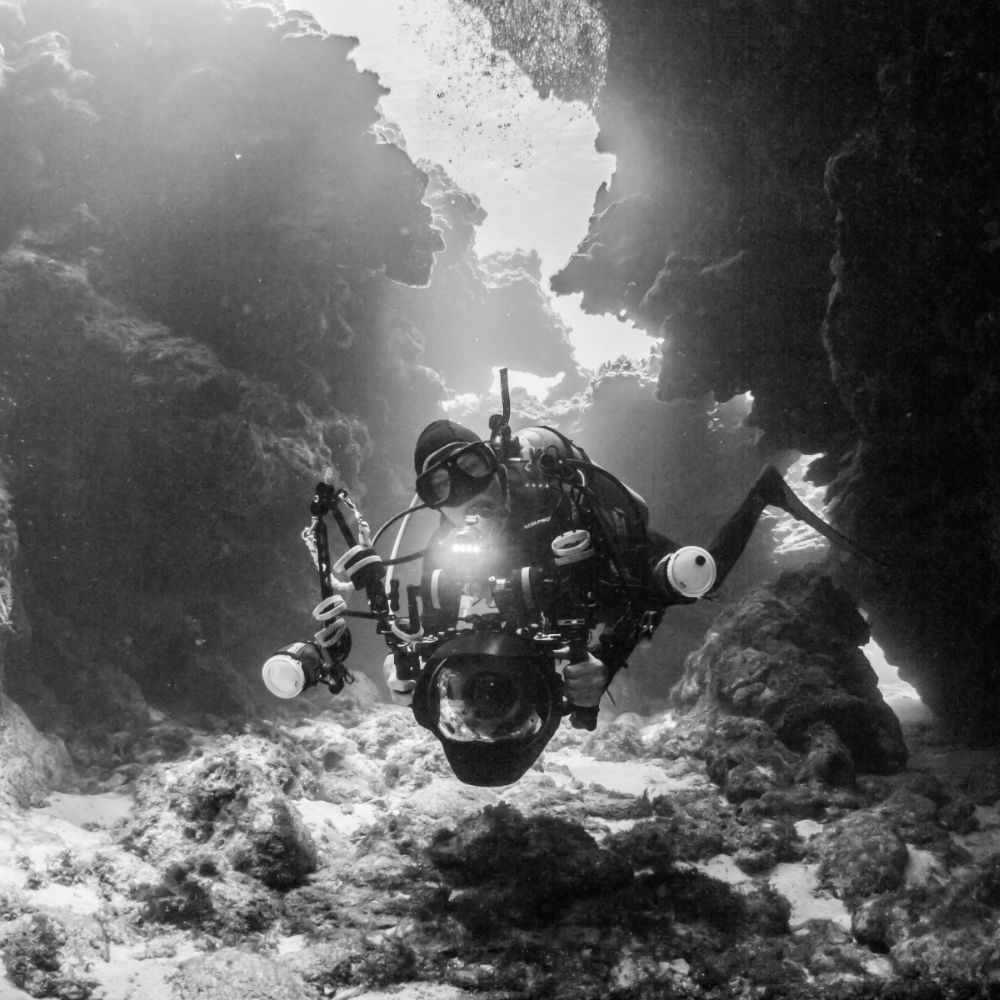Underwater photography in Grand Cayman 6