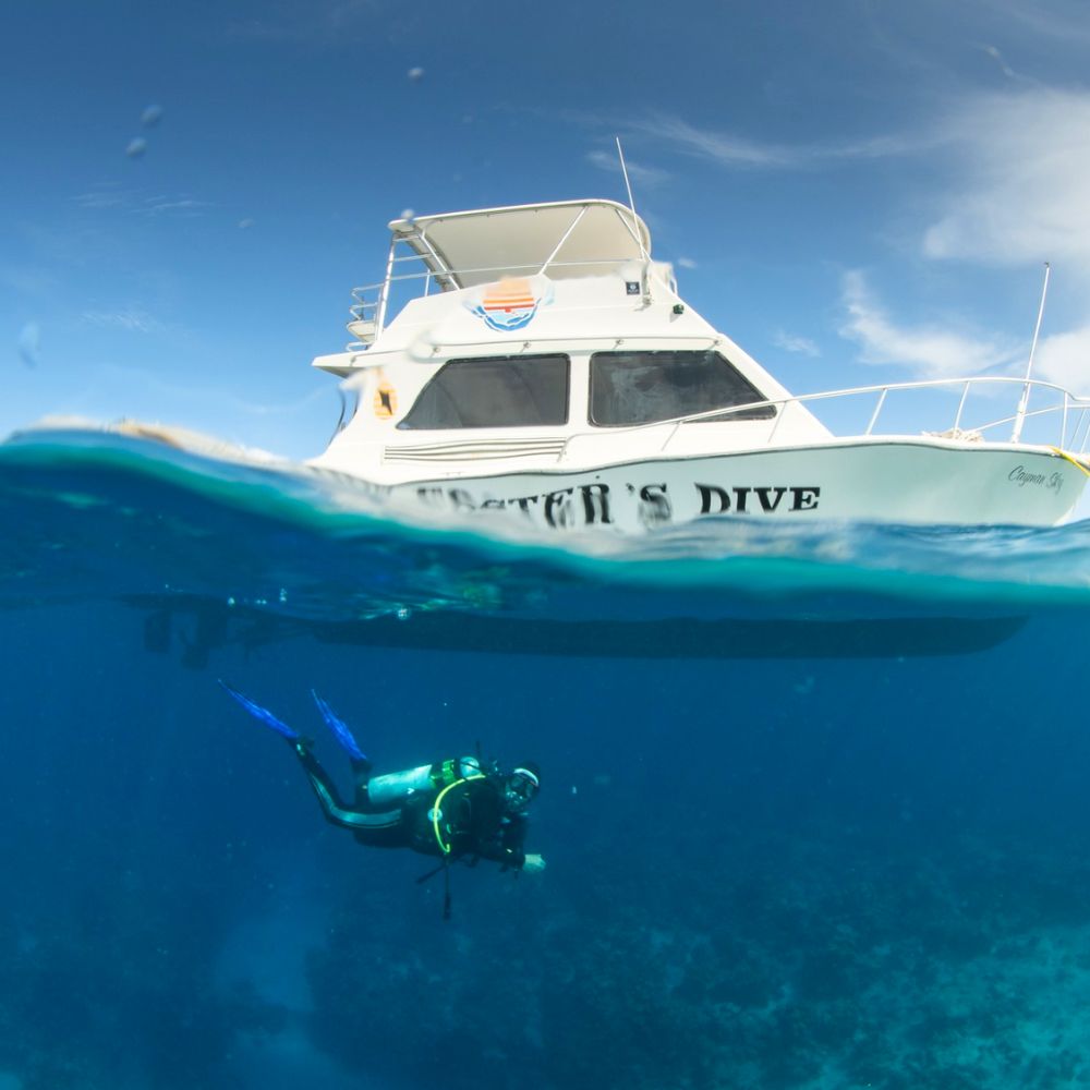 Boat Diving 2