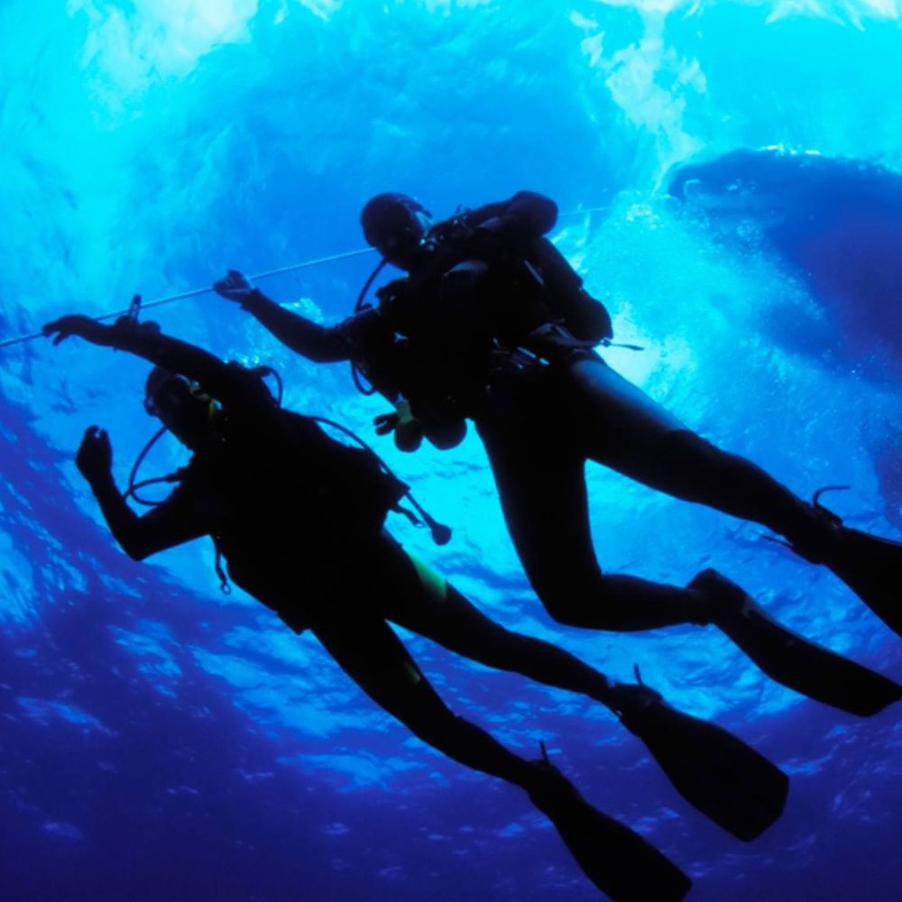 Night diving at Casuarina Point