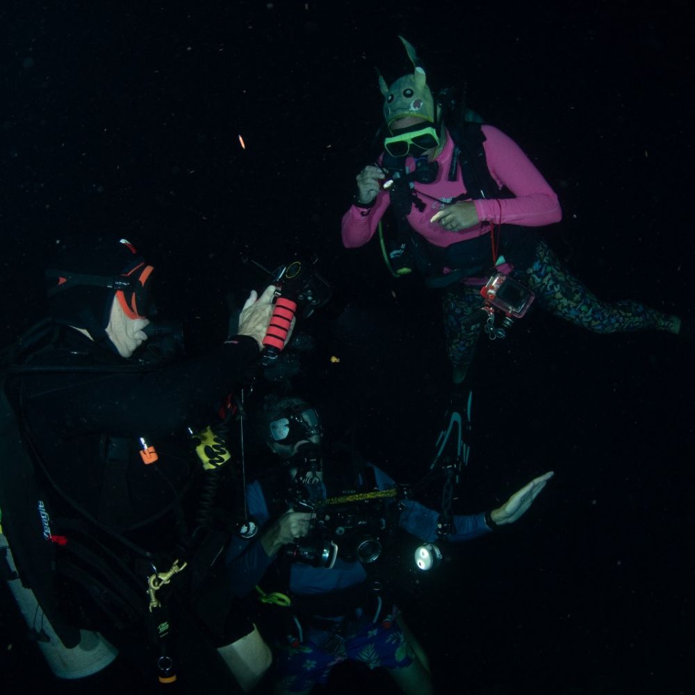 Night Diving 2