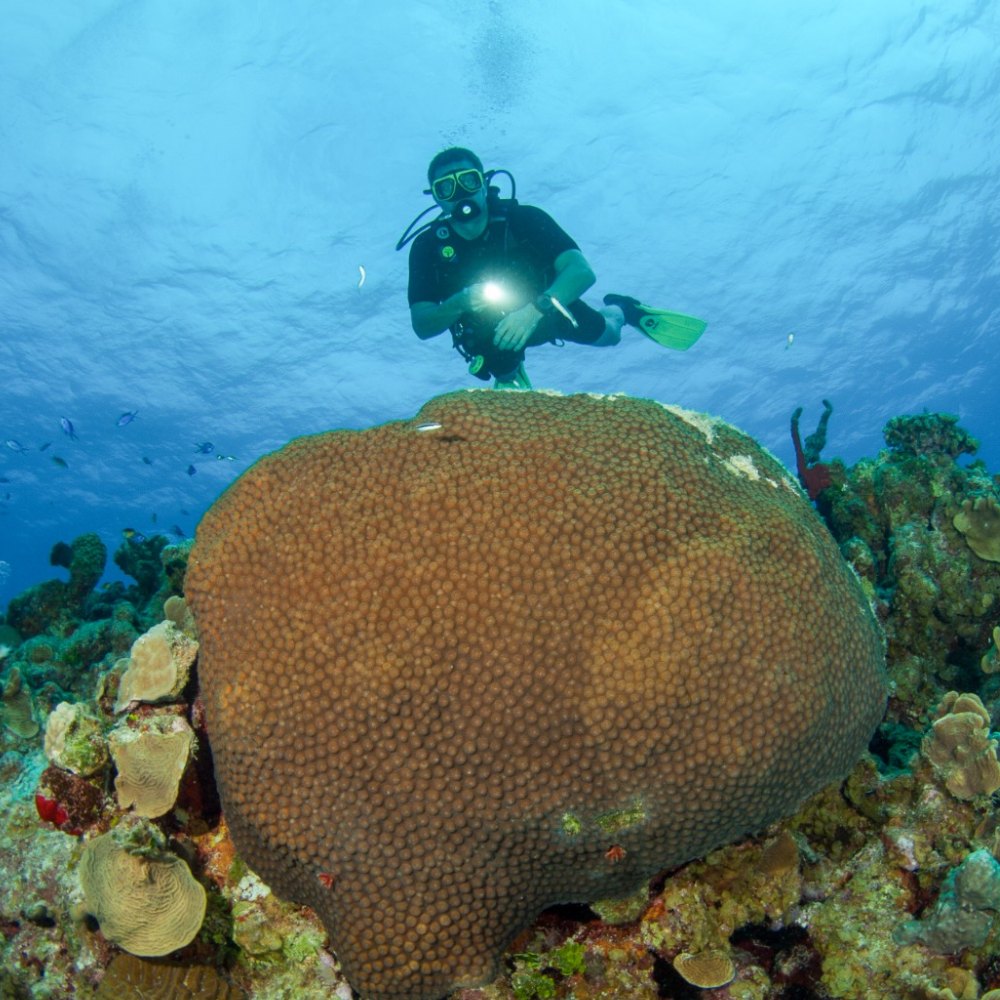 Shore diving entry point