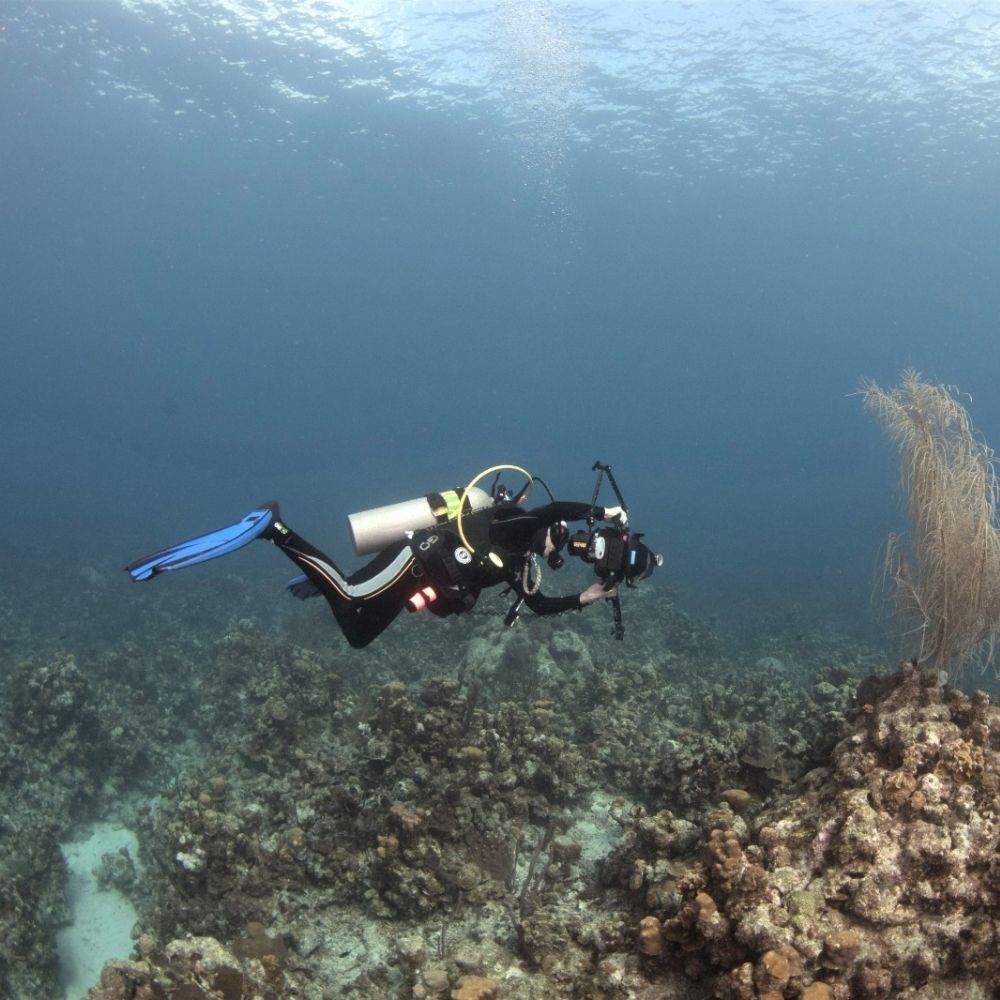 Advanced Open Water course 4