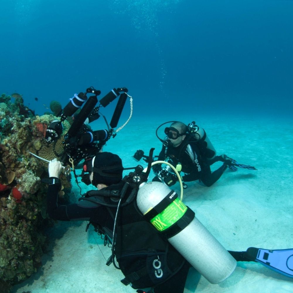 Digital underwater photography course 4